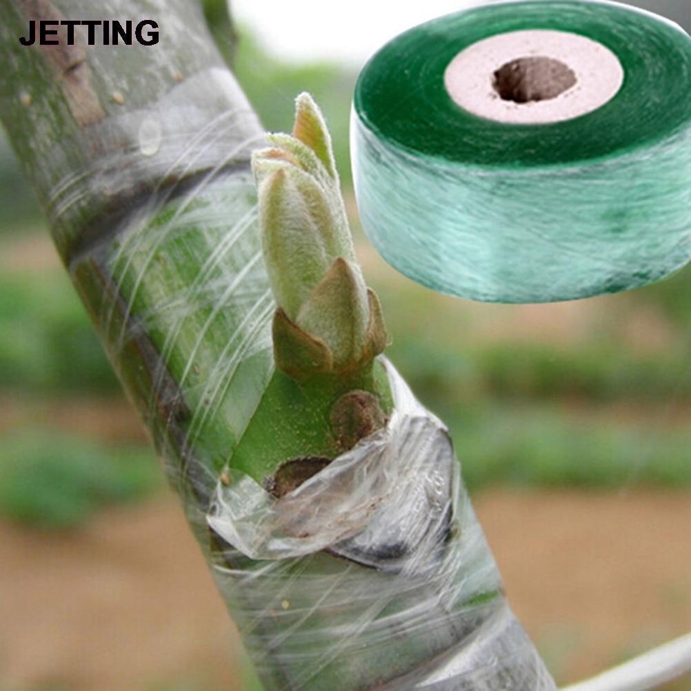 2CM x 100M / 1 Roll Grafting Tape