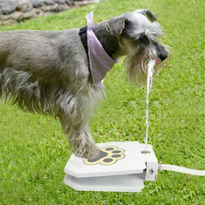 Outdoor Dog Water Fountain