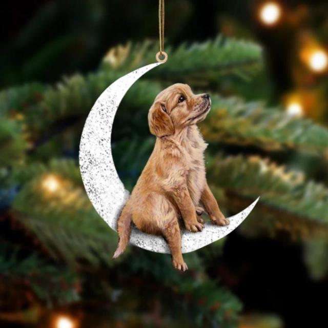 Dog On The Moon Hanging Decor