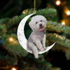 Dog On The Moon Hanging Decor