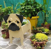 Adorable Dog-Shaped Planter